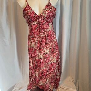 Vici Pink and Green Maxi Dress